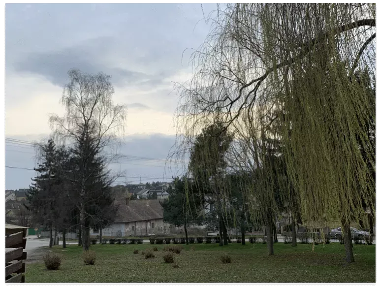 Rave in Formal Attire